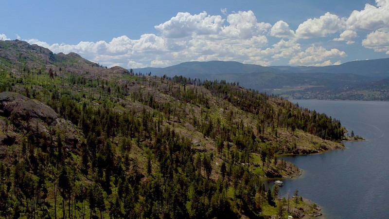 Okanagan Mountain