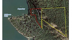 Woodland Waterfront On Galiano Is Now Protected