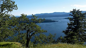 Protected: Galiano Island Garry Oak Ecosystem