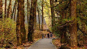 Spark Grant For An Accessible Goldstream Park