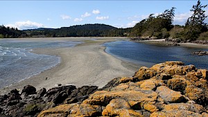 Restoring Biodiversity in Metchosin Forever