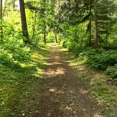 Story Trail in Tsútswecw Park