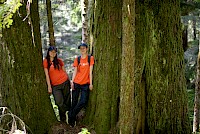 Discovering Wonder from the Ground Up
