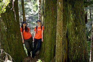 Discovering Wonder from the Ground Up