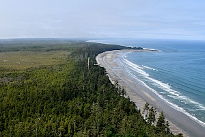 Exploring Haida Gwaii and the Biodiversity of B.C.’s Parks with iNaturalist