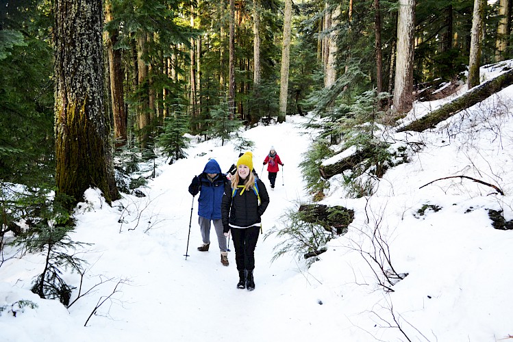 Vancouver First Day Hike with Healthy By Nature