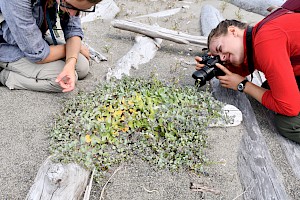 Visitors can now use their phones to become citizen scientists in B.C.’s parks