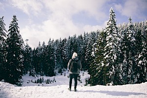 How to Explore B.C.'s Parks from Your Home