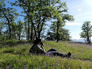 Mount Tzuhalem Ecological Reserve