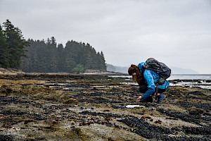 I-Spy With My Little Eye, 1 Million Observations of Wildlife in B.C.