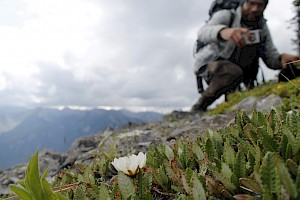 Help Collect One Million Observations of Wildlife in British Columbia  with B.C.’s Big Nature Challenge