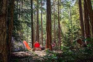 Say hello to the Discover Park Ambassadors: New hosts coming to a provincial park near you