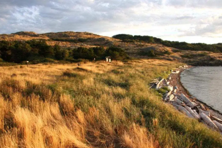 Donate to the Mitlenatch Island Stewardship Team